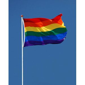 Regenboog Vlag - LGBT Vlag - LHBT Gay Vlag - Pride Vlag - 90x150cm - Originele Kleuren - Sterke Kwaliteit Incl Bevestigingsringen - Hoogmoed Vlaggen