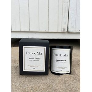 Feu de Mer - Sea salt & Driftwood - fullsize geurkaars 220g