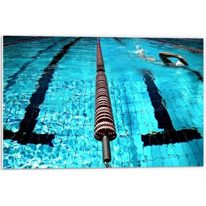 PVC Schuimplaat- Boeien tussen Zwembanden in Professioneel Zwembad - 60x40 cm Foto op PVC Schuimplaat
