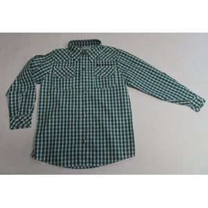 Overhemd - Jongens - Geruit - Groen - 6 jaar 116