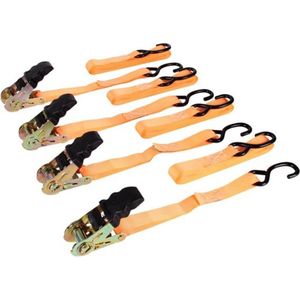 Set met spanbanden - 5 meter - 500kg - 4 stuks