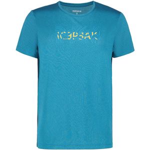 Icepeak Bearden T-shirt Met Korte Mouwen Blauw S Man