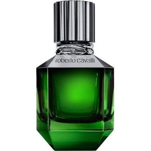 Roberto Cavalli Paradise Found for Men eau de parfum 50ml