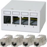 LOGILINK Patchpanel NK4090 4Poorten incl. 4 CAT6A-modules