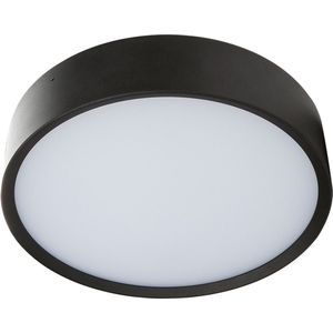 Plafondlamp LED Binnen & Buiten (IP65) - Arendal 1 - Zwart - 12W - Warm wit licht (3000K)