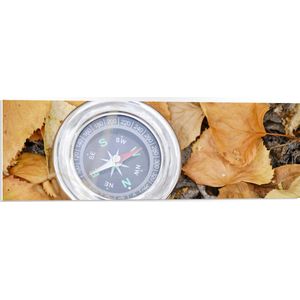 WallClassics - PVC Schuimplaat - Traditioneel Kompas op Stapel Herfstbladeren - 90x30 cm Foto op PVC Schuimplaat (Met Ophangsysteem)
