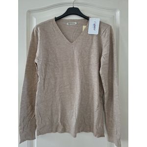 Dames warme trui Alida-V-hals-fijngebreid-effen taupe-lange mouwen-maat M/L