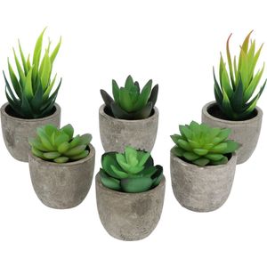 GreenDream® Kunstplanten - Vetplanten in Pot 6 stuks - Cadeautip