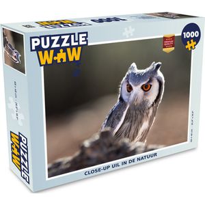Puzzel Uil - Macro - Dier - Legpuzzel - Puzzel 1000 stukjes volwassenen