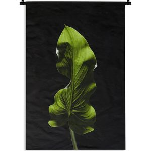Wandkleed Planten op een zwarte achtergrond - Een groen blad op zwarte een achtergrond Wandkleed katoen 90x135 cm - Wandtapijt met foto