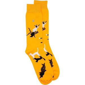 Alfredo Gonzales Cats AG-SK-Cat-01 119 Mustard/Grey/Off White XS(35-37)