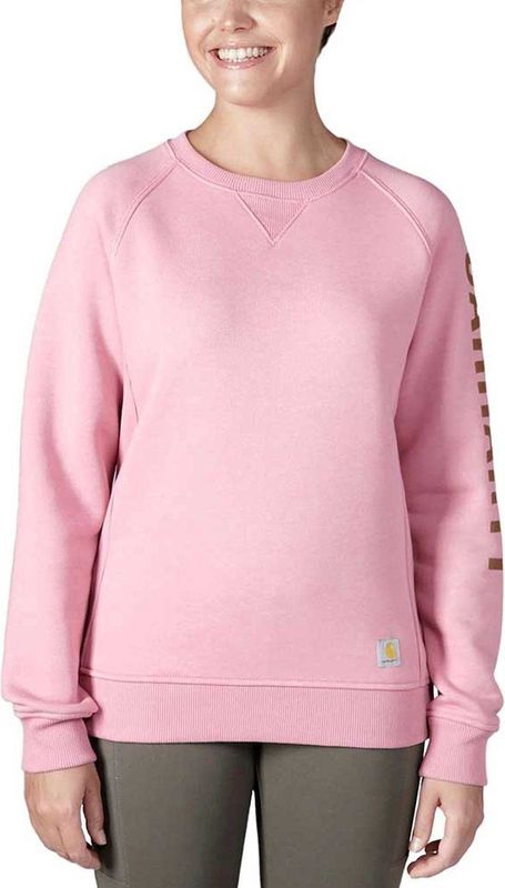 Carhartt - Clarksburg Graphic - Sweatshirt - Roze - Lange Mouw