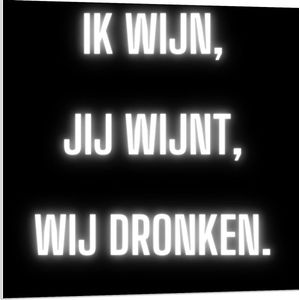 Forex - Tekst: ''Ik Wijn, Jij Wijnt, WIj dronken'' Neon Letters Wit/Zwart - 80x80cm Foto op Forex