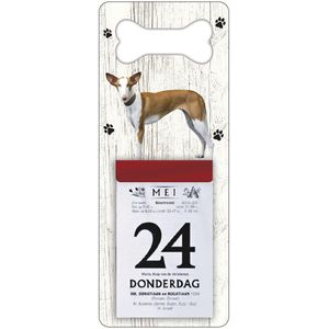 Scheurkalender 2024 Hond: podenco