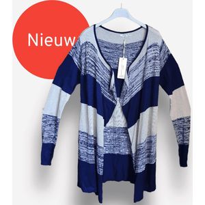 Dunne elegante vest in BLAUW melange met lange mouwen en gouden gloed maat 38/40