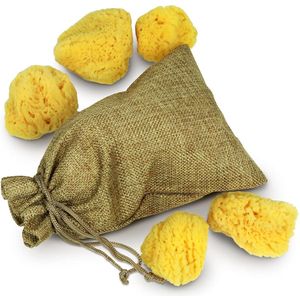 Huidvriendelijke Aquarelspons - Creatieve Kleurbeleving - 1 stuk