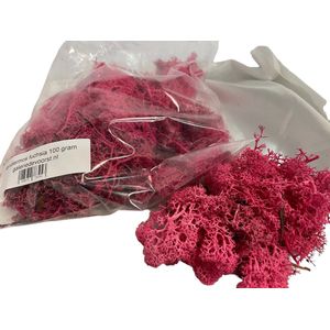 Rendiermos, mos Fuchsia 100 gram. Geschikt voor decoraties, mosschilderijen, moswanden, bloemstukjes