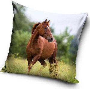 Carbotex Kussen Horse Junior 40 X 40 Cm Katoen Bruin/groen