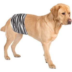 Hondenluier Zebra S - Plasband voor kleine reutjes - Bij incontinentie