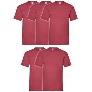 5-Pack Valueweight Heren T-shirts + Gratis Gymtas