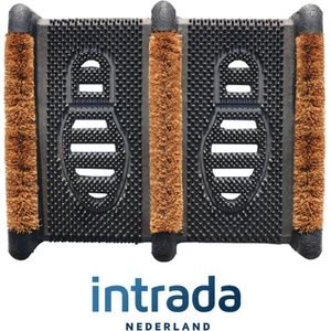 Benson - Voetenveger - Dubbele Kokosborstels - 36x31x7 cm - Verticaal Geplaatst