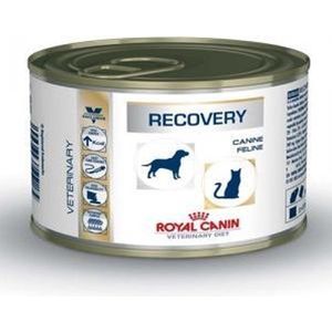 Royal Canin Recovery Feline/Canine - Kattenvoer - 12 x 195 g