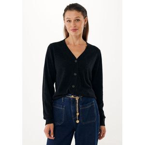MEXX Gebreid vest 'Aralia'  zwart