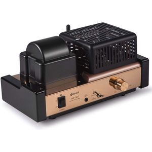 Geïntegreerde Vacuümbuis Versterker met Bluetooth en USB/DAC