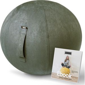 Fruscle® 65 cm Zitbal - Ergonomische bureaustoel - Thuiskantoor zitzak - Rugpijn - met Ebook