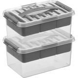 2x Sunware Q-Line opberg boxen/opbergdozen met vakverdeling/vakken tray 6 liter 30 x 20 x 14 cm kunststof - Gereedschapskist - Opslagbox - Opbergbak kunststof transparant/zilver