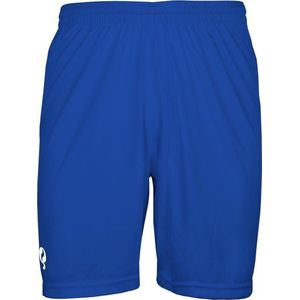 Heren Evergreen active short - Blauw/Wit