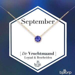 Bixorp Geboortesteen Ketting September - 18k Goud Verguld Roestvrij Staal met Zirkonia Hanger - Stainless Steel - Saffier