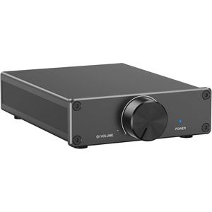 Mini Hi-Fi Versterker 300W x 2 Stereo met Geavanceerd Warmteafvoersysteem