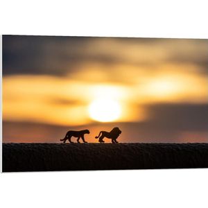 Forex - Silhouet van Miniatuur Beeldjes van Leeuwen met Zonsondergang - 90x60cm Foto op Forex