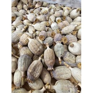 Kilo gedroogde papaver koppen | Oogst 2024 | Per 1000 gram te bestellen