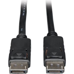 Tripp Lite P580-100 kabeladapter/verloopstukje DisplayPort Zwart