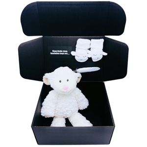 Kraamcadeau slaap kindje slaap - kraamcadeau met knuffel en babysokjes - kraamcadeau rechtstreeks versturen