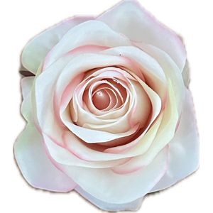 AMALIA POEDER PERZIK KUNSTROZEN - Rozenkoppen 12 stuks - Mooie Kwaliteit Kunstbloemen - Nepbloemen - Rozen zonder Steltjes - Kunstbloemen voor Decoraties/ Versieringen - DIY Bloemen - Rozen voor de Bloemenmuur