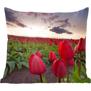 Sierkussen - Rode Tulpen En Een Zonsondergang - Multicolor - 60 Cm X 60 Cm