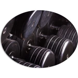 PVC Schuimplaat Ovaal - Foto van Rek Vol Dumbells in Sportschool - 96x72 cm Foto op Ovaal (Met Ophangsysteem)