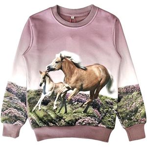 Kinder sweater, trui, met paarden print, oudroze, maat 122/128, horses, kind, ZEER MOOI!