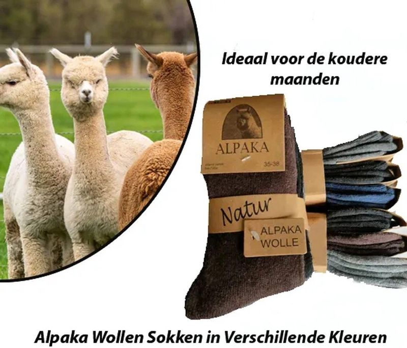 Alpaka - Dikke Wollen Sokken - Zwart - 6-Paar