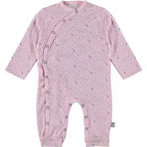 4President boxpakje Naomi Moon