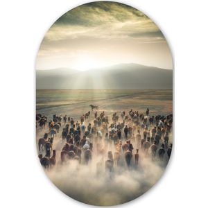 Paarden - Natuur - Mist - Wilde dieren Kunststof plaat (3mm dik) - Ovale spiegel vorm op kunststof
