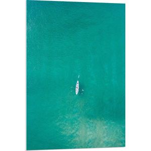 PVC Schuimplaat - Bovenaanzicht van Sporters in Kano op Felblauwe Oceaan - 70x105 cm Foto op PVC Schuimplaat (Met Ophangsysteem)