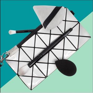 CAIRSKIN Beauty Blender Set Pro Gloss - Blender & Powder Puff - 2 Soft Blending Brushes for Eyeshadows and Natural Concealer and Foundation Application + Beauty Bag