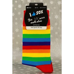 Kunstsokken - Regenboogsokken - 1+1 Gratis, tweede paar verrassingsdesign