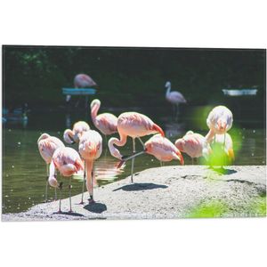 WallClassics - Vlag - Roze Flamingo's aan het Water - 60x40 cm Foto op Polyester Vlag