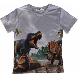 S&C Dinosaurus Shirt - Triceratops / T-Rex - Grijs - Maat 86/92 (2 jaar)
