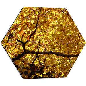 WallClassics - Dibond Hexagon - Dekbed van Gele Bladeren - 50x43.5 cm Foto op Hexagon (Met Ophangsysteem)